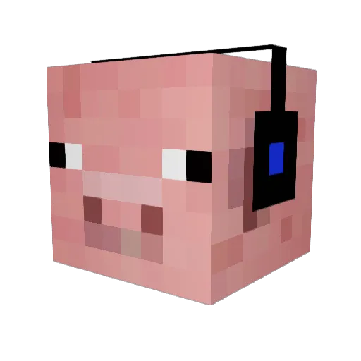 Helion_05 Minecraft avatar head, 3D render