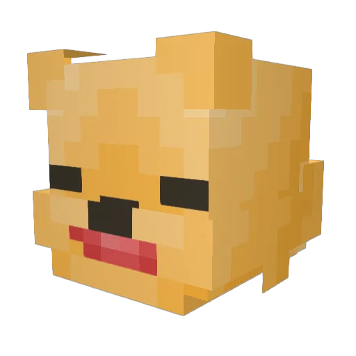 Helios65 Minecraft avatar head, 3D render