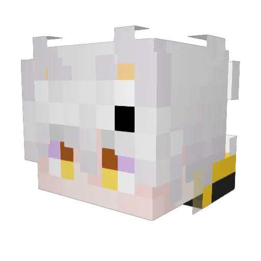 HeliosTiir Minecraft avatar head, 3D render