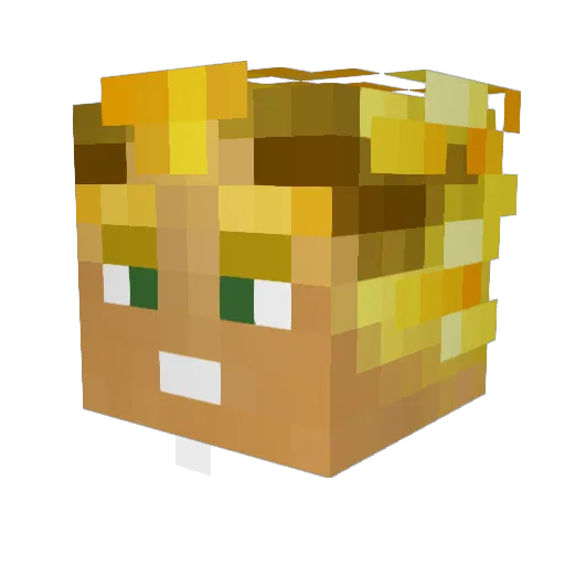Heliosik Minecraft avatar head, 3D render