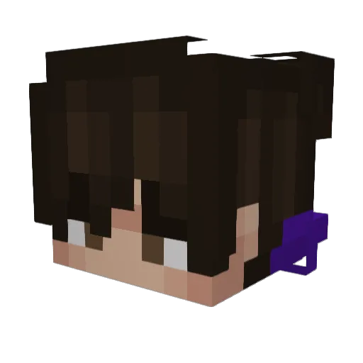 Helipsargo Minecraft avatar head, 3D render
