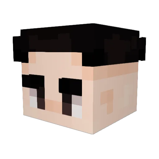 Heliux0705 Minecraft avatar head, 3D render