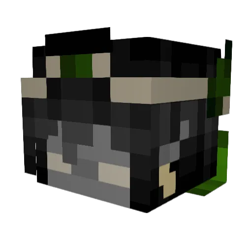 HelixianD Minecraft avatar head, 3D render
