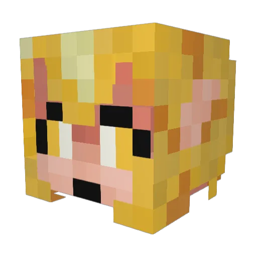 HellBagel Minecraft avatar head, 3D render