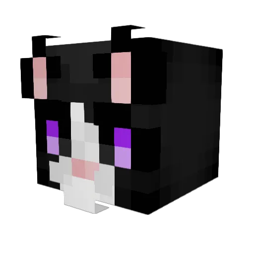 HellDarkCat Minecraft avatar head, 3D render