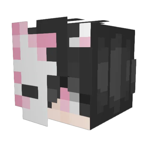 HellFireFox6 Minecraft avatar head, 3D render
