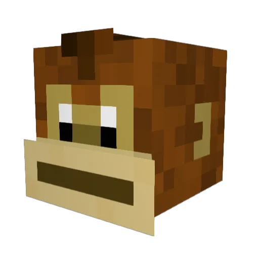 HellMonkey423 Minecraft avatar head, 3D render