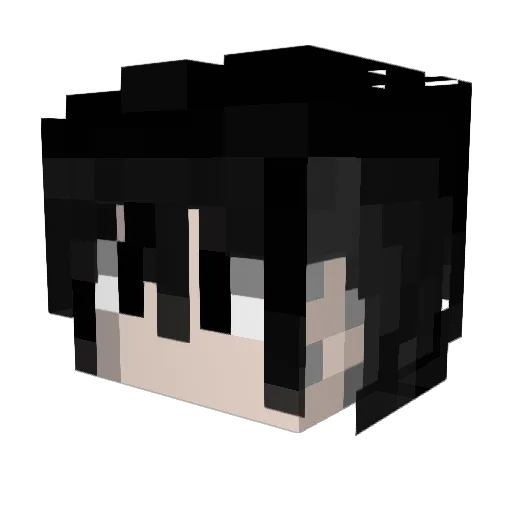 HellS1ng Minecraft avatar head, 3D render