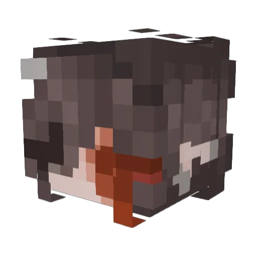 HellSpawn12703 Minecraft avatar head, 3D render