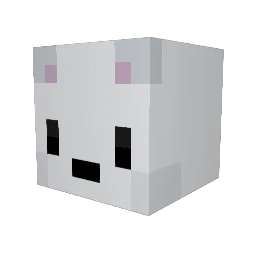 Hell_21 Minecraft avatar head, 3D render