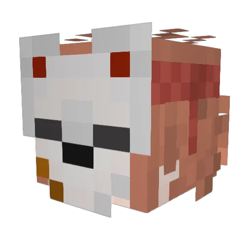 Hellcat04 Minecraft avatar head, 3D render