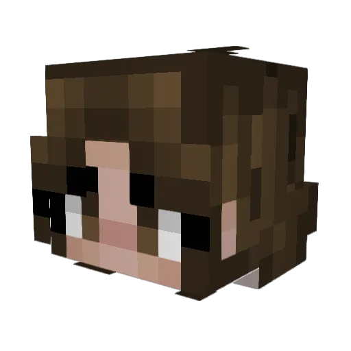 Helle24 Minecraft avatar head, 3D render