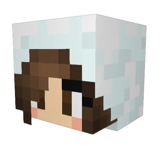 HellenWong67 Minecraft avatar head, 3D render