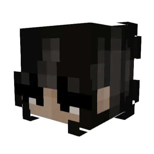 HellfireWill Minecraft avatar head, 3D render