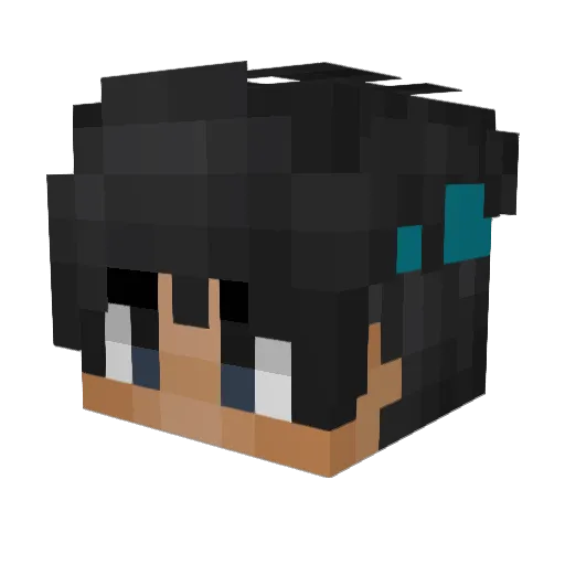 Hellmuffins Minecraft avatar head, 3D render