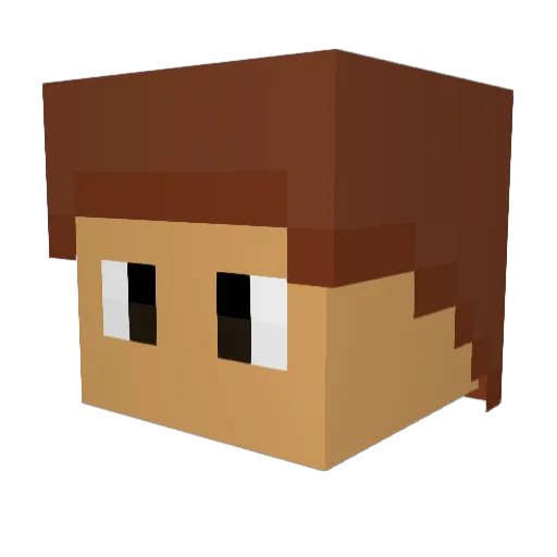 Hello825 Minecraft avatar head, 3D render