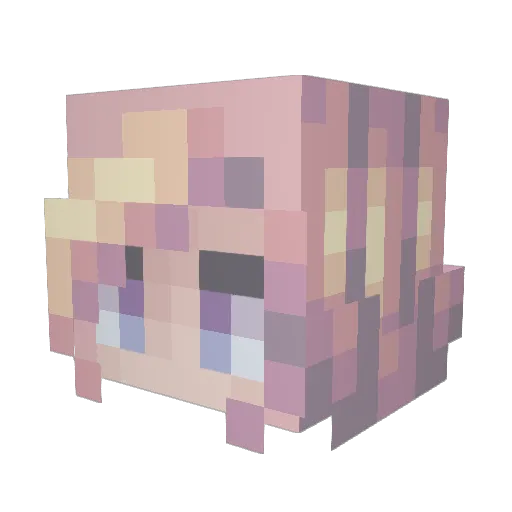 Hello8901 Minecraft avatar head, 3D render