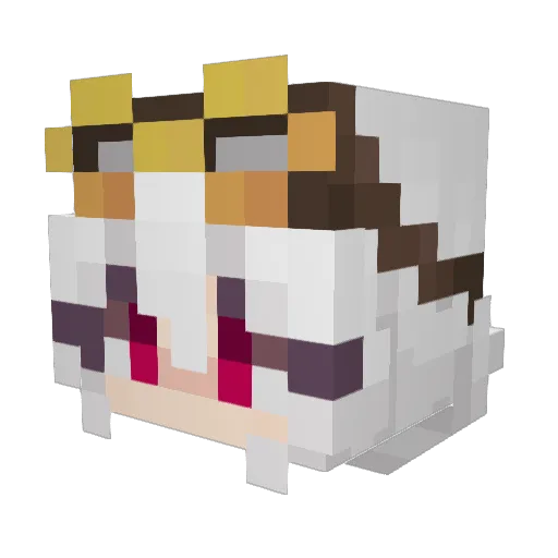HelloR5R5 Minecraft avatar head, 3D render