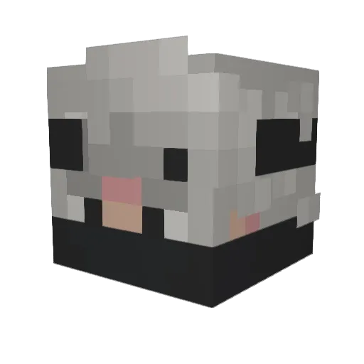 Hello_Habibi Minecraft avatar head, 3D render