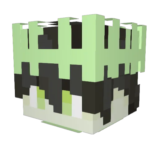 Hello_its_Haz Minecraft avatar head, 3D render
