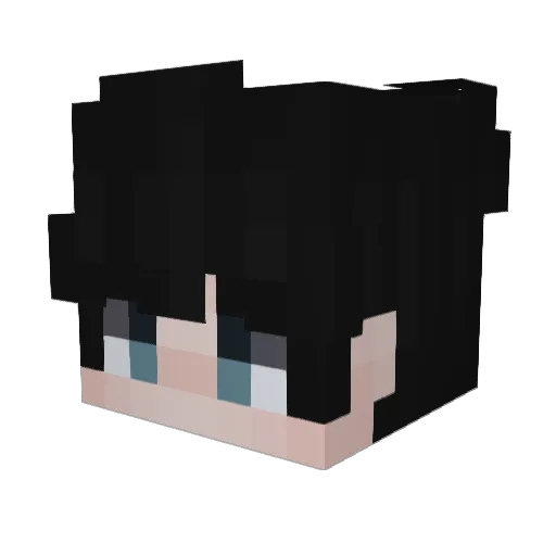 Helloimagamertoo Minecraft avatar head, 3D render