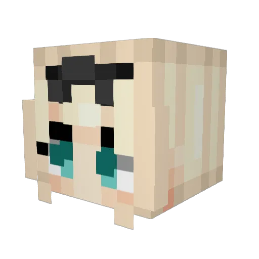 Helloitsrit2007 Minecraft avatar head, 3D render