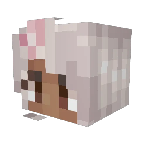 Hellozizi Minecraft avatar head, 3D render