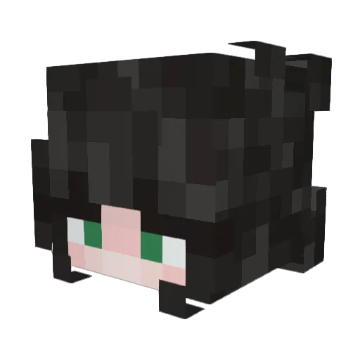 Hells666 Minecraft avatar head, 3D render
