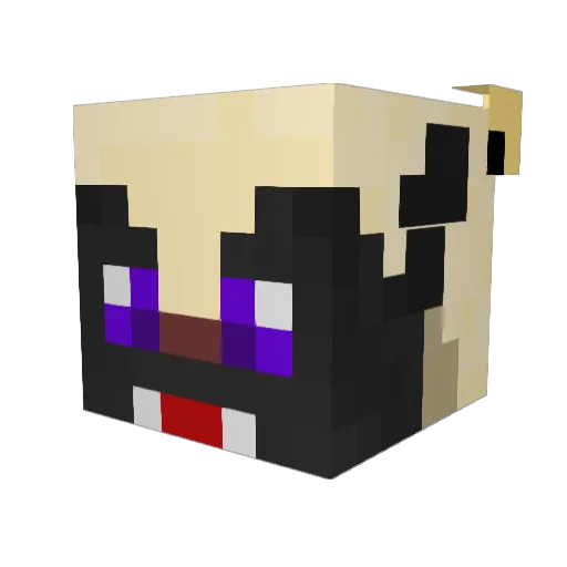 HellsBadger1221 Minecraft avatar head, 3D render