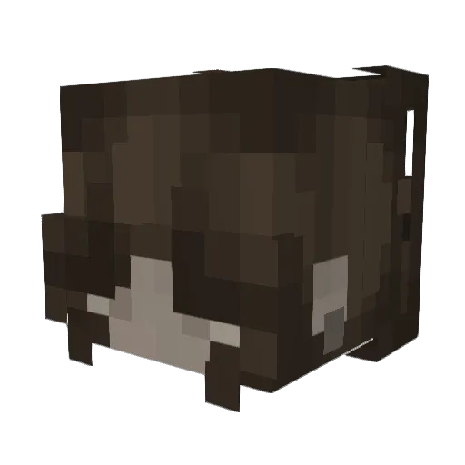 Hellswan Minecraft avatar head, 3D render