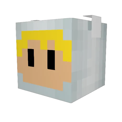 Hellview96 Minecraft avatar head, 3D render