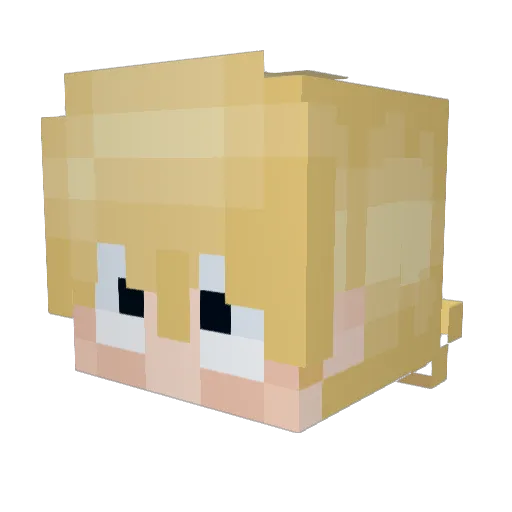 HellyS_0 Minecraft avatar head, 3D render