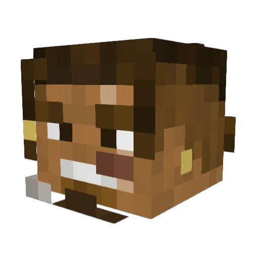 Hellz_sent Minecraft avatar head, 3D render