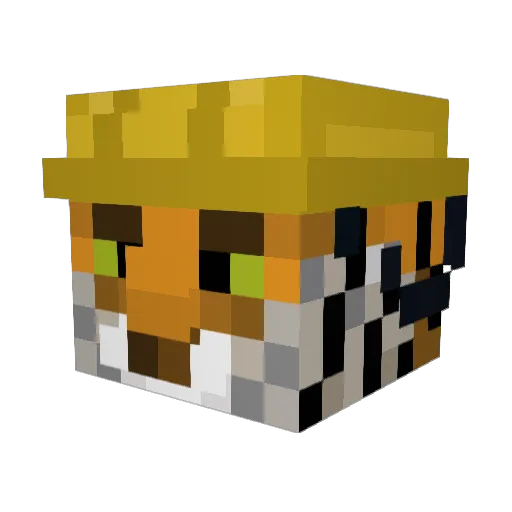 HelmTiger13 Minecraft avatar head, 3D render