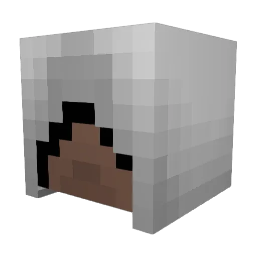Helmwulf Minecraft avatar head, 3D render