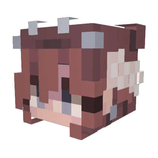 Helopta Minecraft avatar head, 3D render