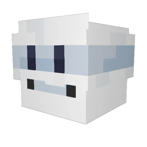 Helr0Nyx Minecraft avatar head, 3D render