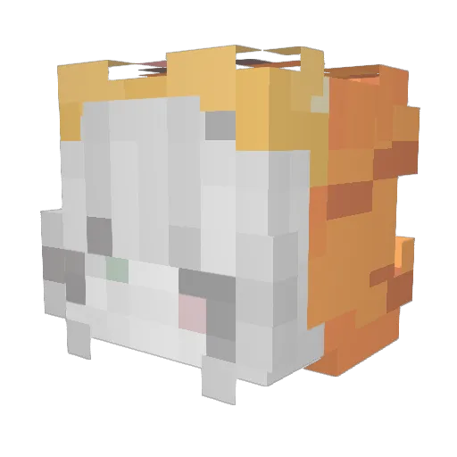 Helsinkivater Minecraft avatar head, 3D render