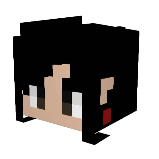 Helsunn Minecraft avatar head, 3D render