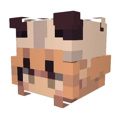 Helxupanda Minecraft avatar head, 3D render