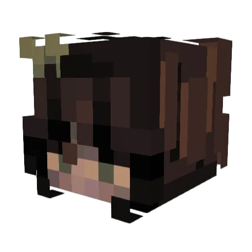 Hely123 Minecraft avatar head, 3D render
