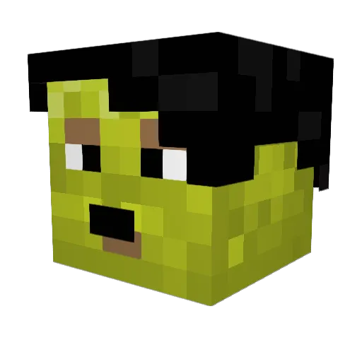 HemmedBoi Minecraft avatar head, 3D render