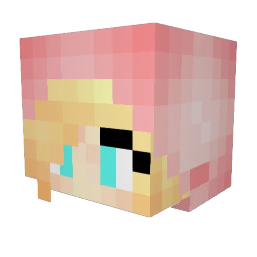 Hemmertime Minecraft avatar head, 3D render