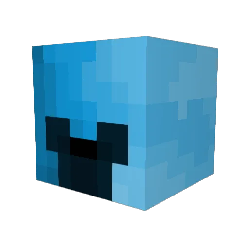 Hemmit_ Minecraft avatar head, 3D render