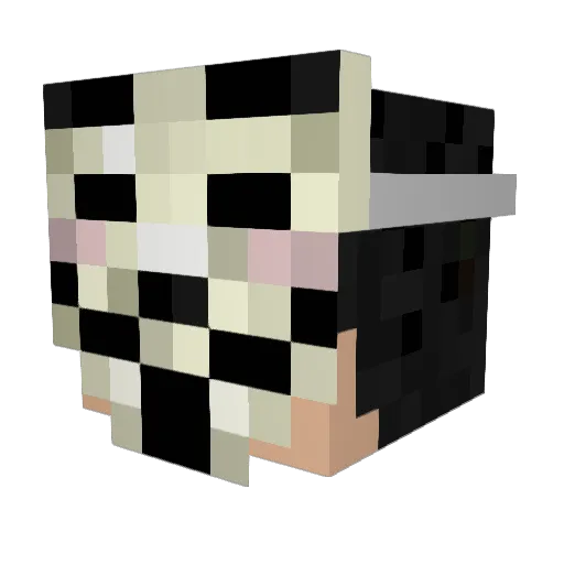Hemnes2000 Minecraft avatar head, 3D render