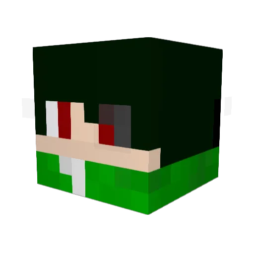 HenDuO Minecraft avatar head, 3D render