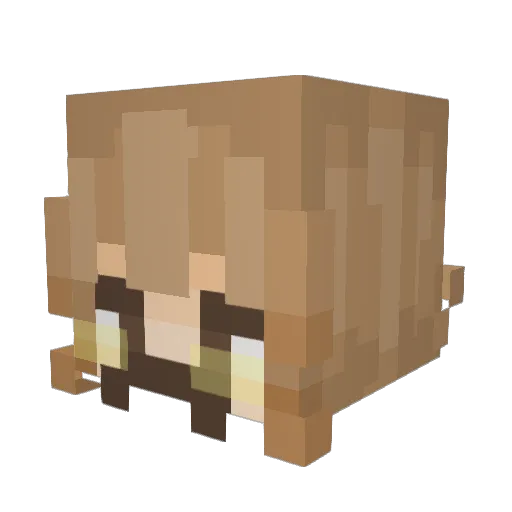 HenPen123456 Minecraft avatar head, 3D render