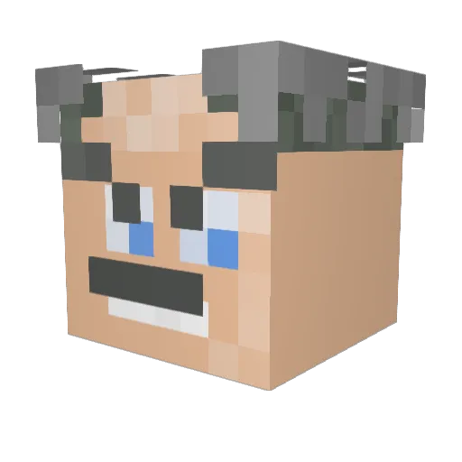 HenRMJ Minecraft avatar head, 3D render