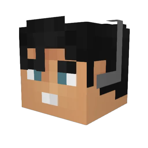 HenTyler Minecraft avatar head, 3D render