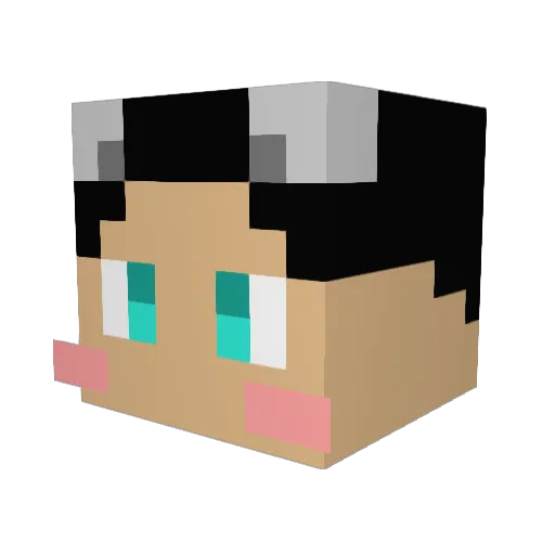 Hen_Tie Minecraft avatar head, 3D render
